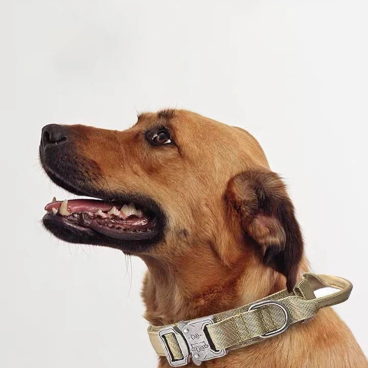 Tactical Reflective Dog Collar & Leash Set