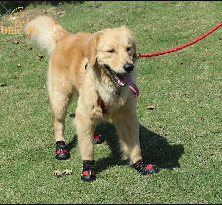 Waterproof Dog Boots - Anti-Slip & Reflective