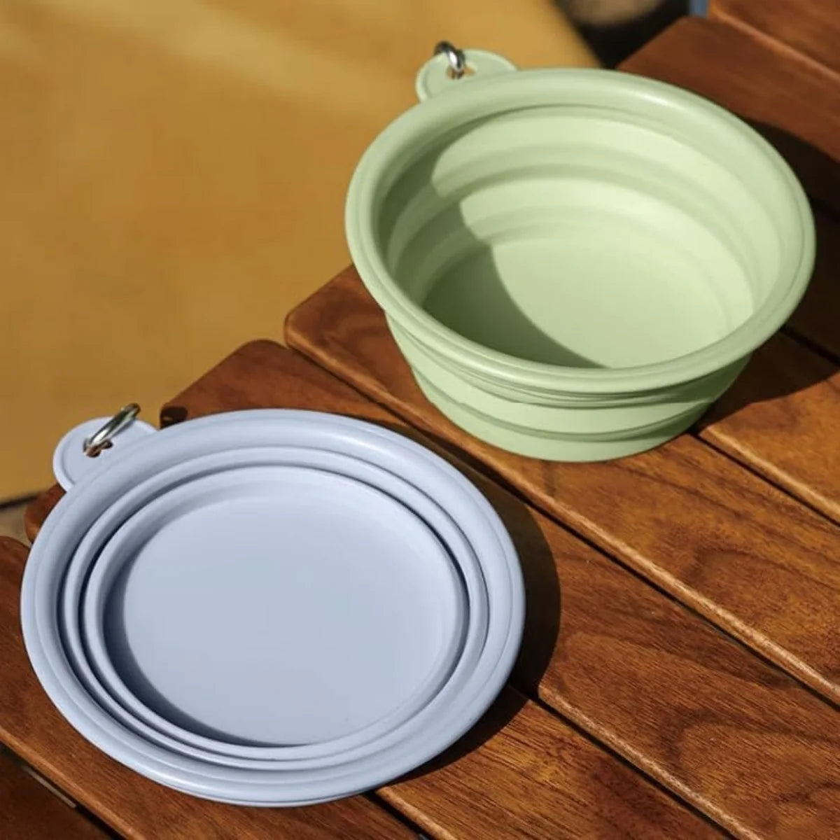 Collapsible Travel Silicone Pet Bowl with Carabiner