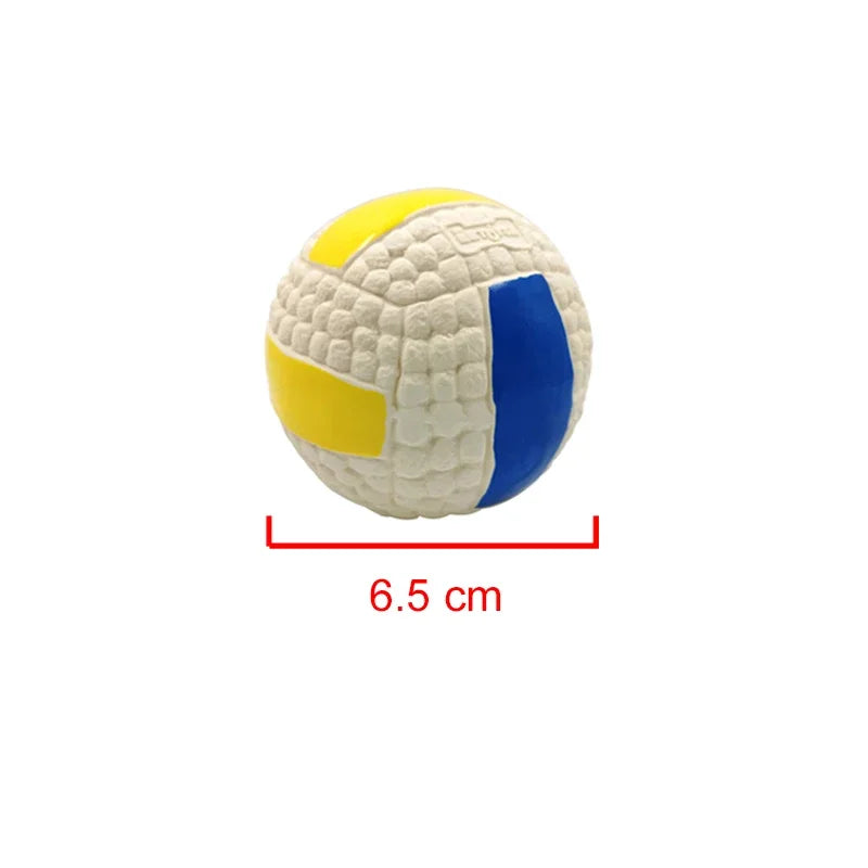 Squeaky Sports Ball Dog Chew Toys