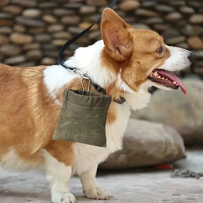 Portable Dog Treat Pouch - Travel & Training