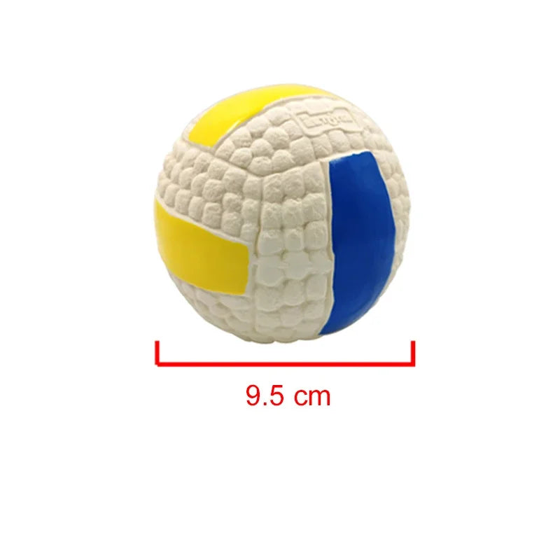 Squeaky Sports Ball Dog Chew Toys