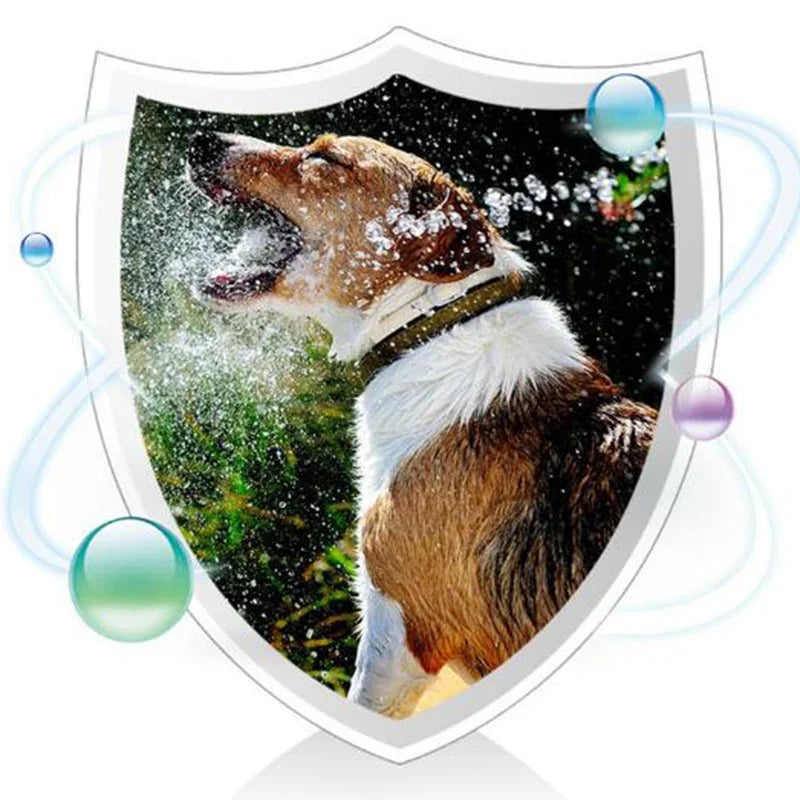 Pet Digestive Probiotics - Diarrhea Relief