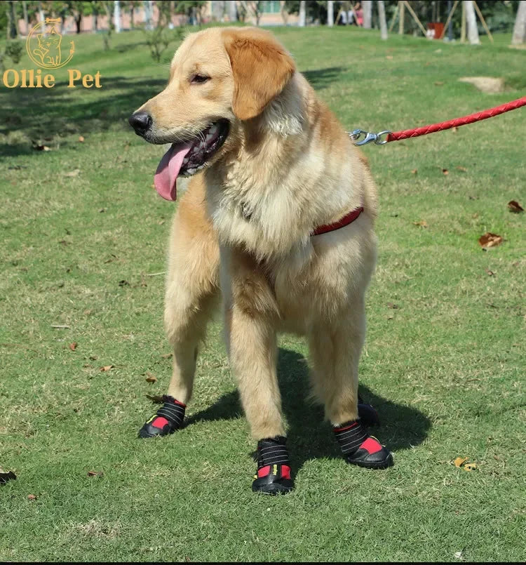 Waterproof Dog Boots - Anti-Slip & Reflective