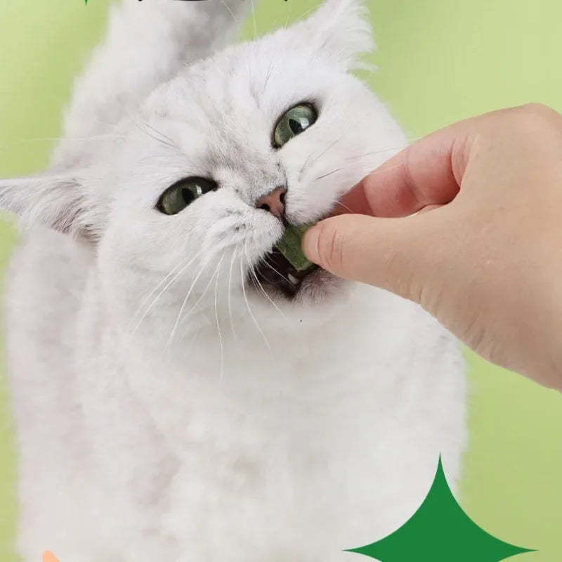 Freeze-Dried Cat Grass Treats for Digestion & Hairball Control