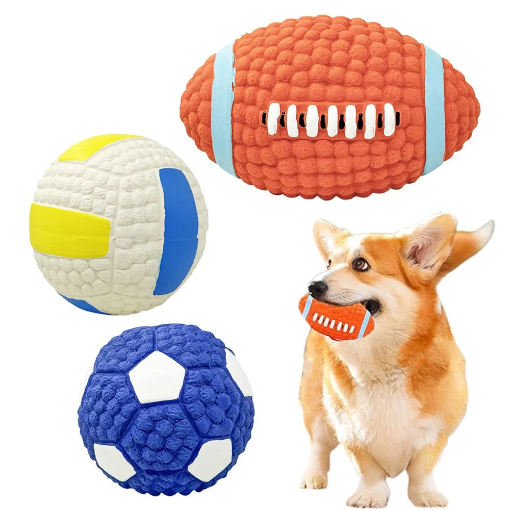 Squeaky Sports Ball Dog Chew Toys