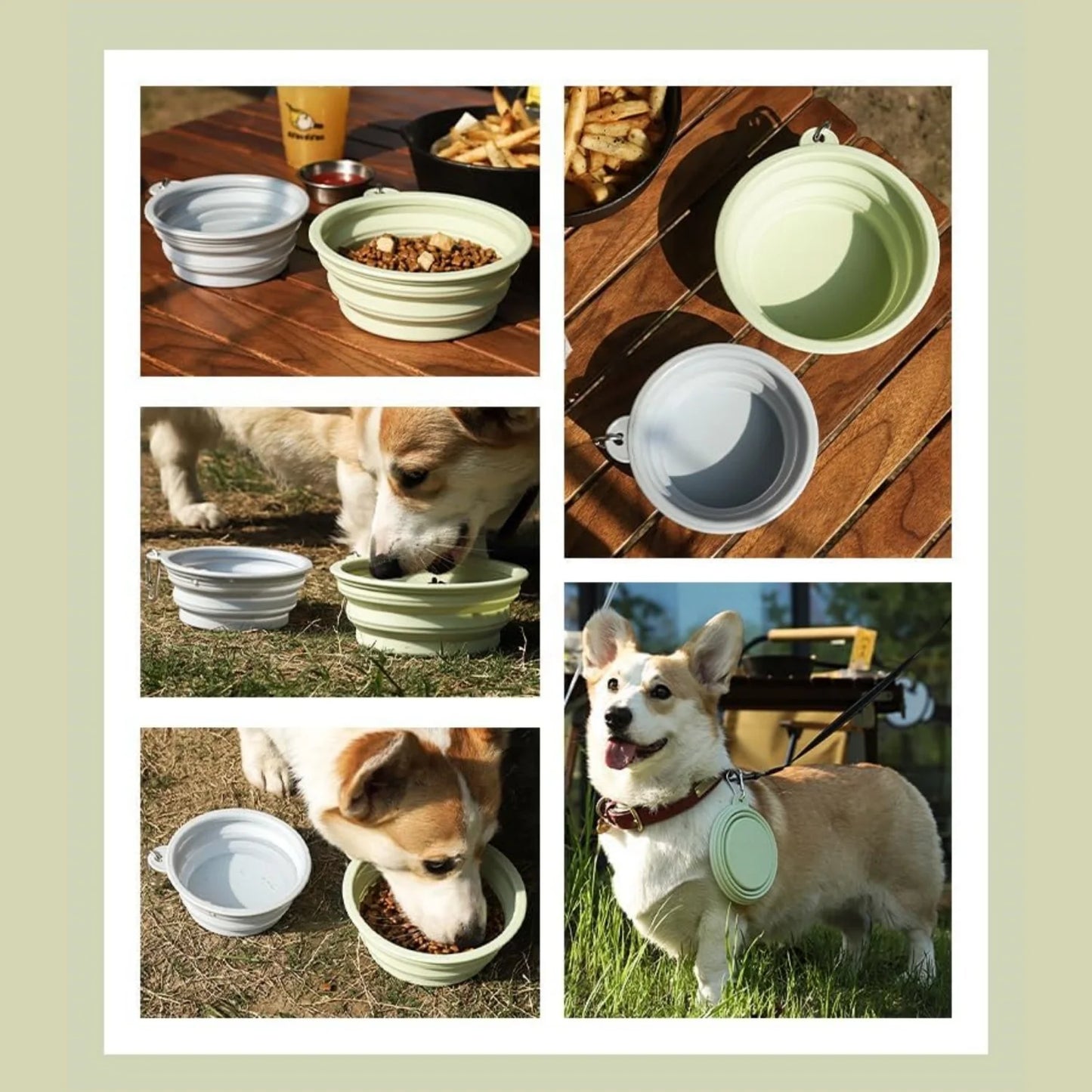 Collapsible Travel Silicone Pet Bowl with Carabiner