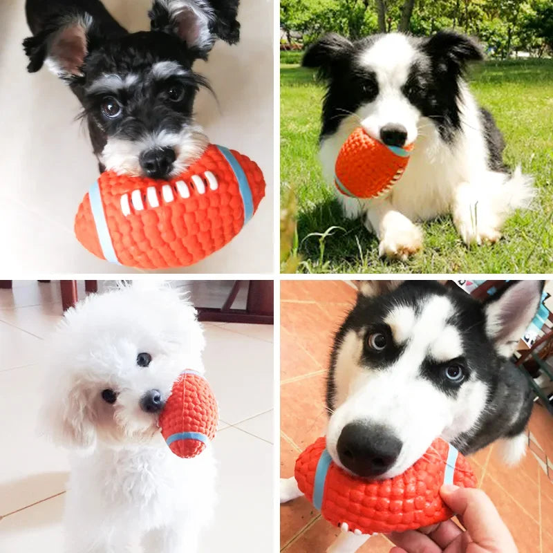 Squeaky Sports Ball Dog Chew Toys