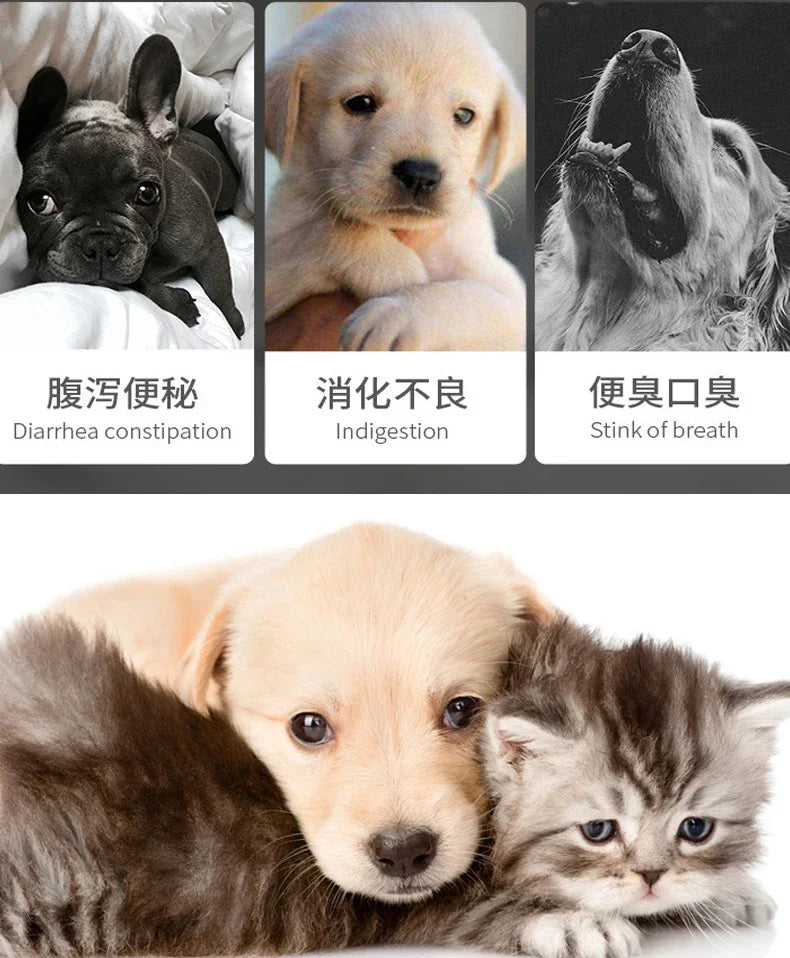 Pet Digestive Probiotics - Diarrhea Relief