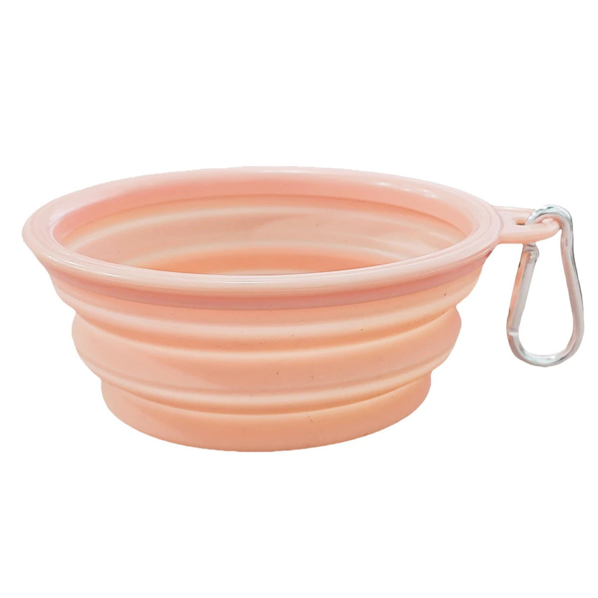 Collapsible Travel Silicone Pet Bowl with Carabiner