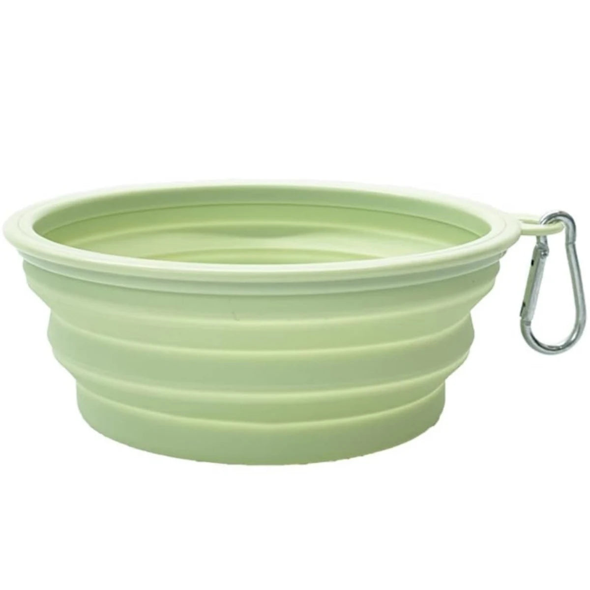 Collapsible Travel Silicone Pet Bowl with Carabiner